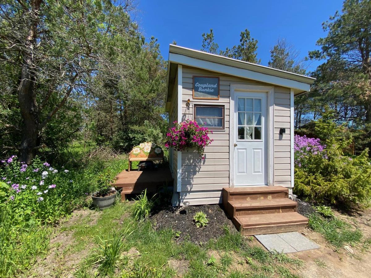 Dreamers Writing Farm, 3 Wooded Acres, Hepworth Sauble Beach Exterior photo