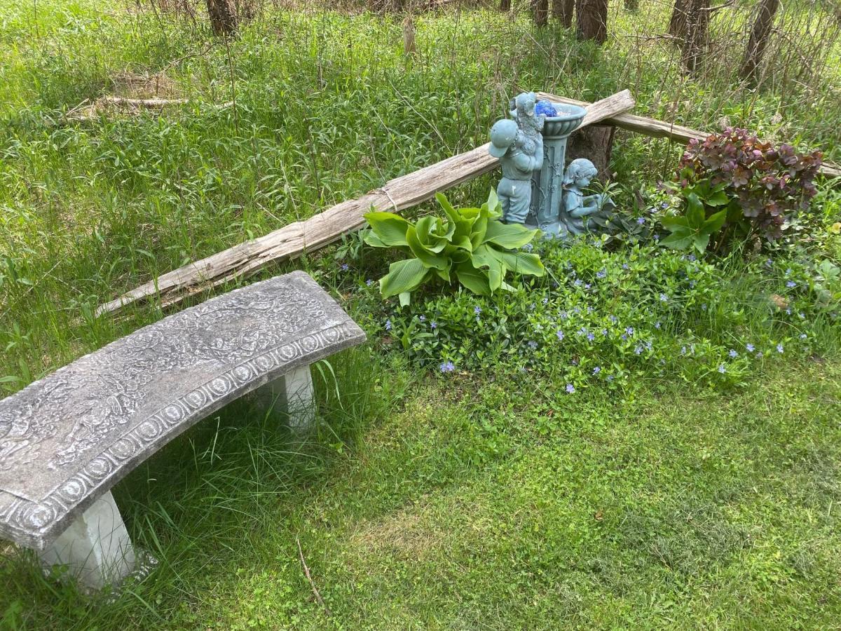 Dreamers Writing Farm, 3 Wooded Acres, Hepworth Sauble Beach Exterior photo