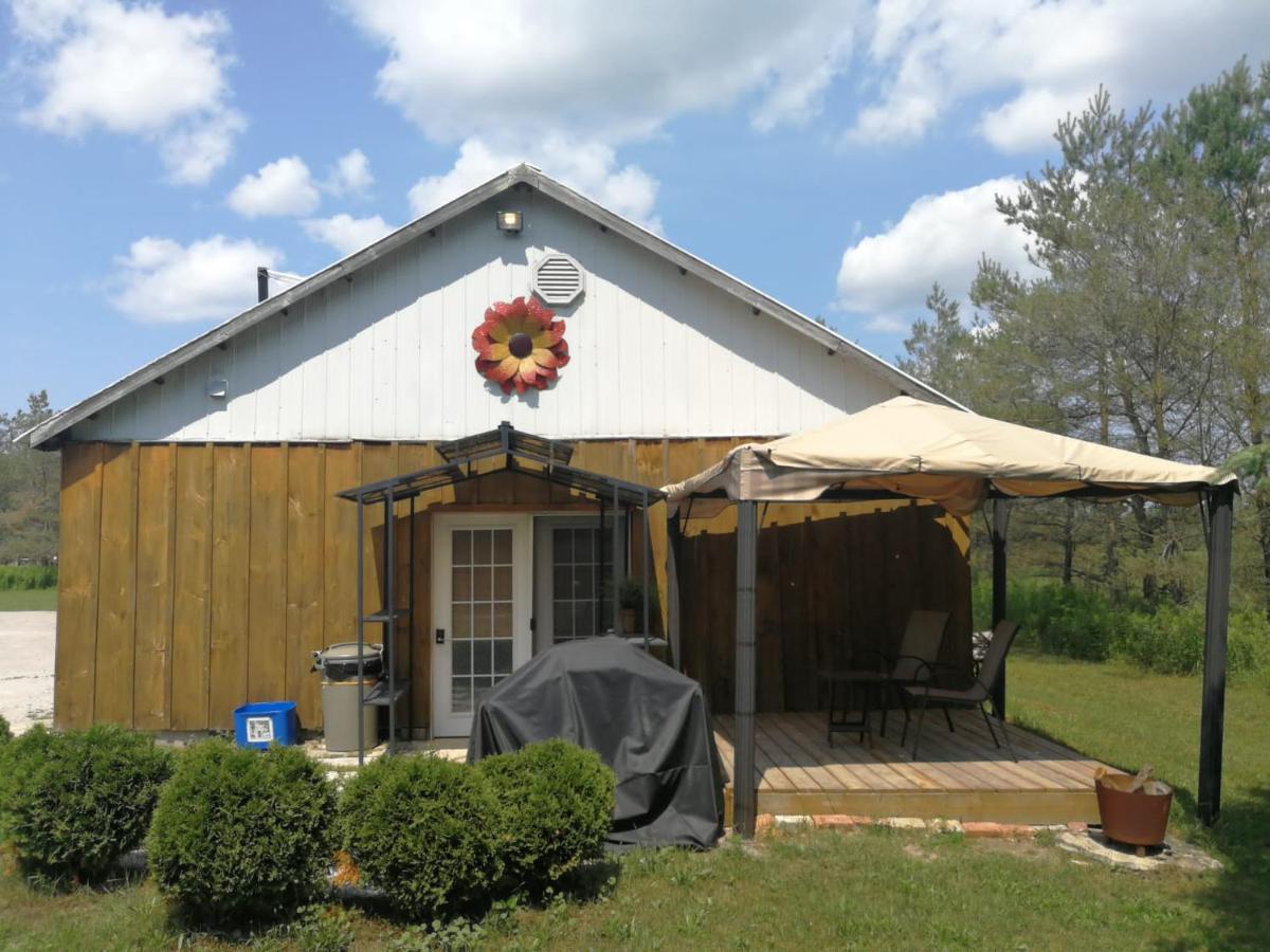 Dreamers Writing Farm, 3 Wooded Acres, Hepworth Sauble Beach Exterior photo