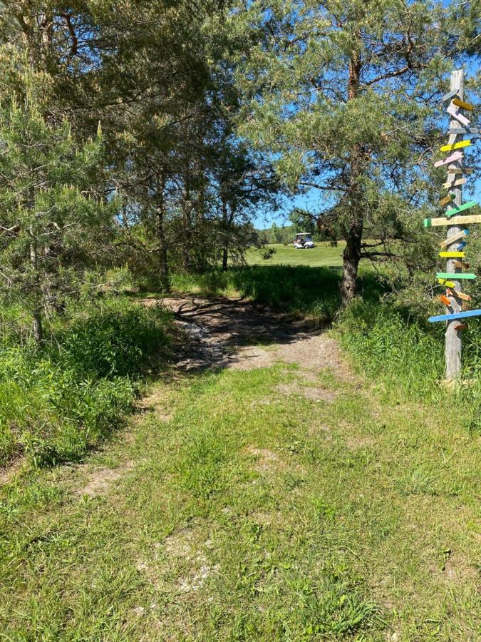 Dreamers Writing Farm, 3 Wooded Acres, Hepworth Sauble Beach Exterior photo